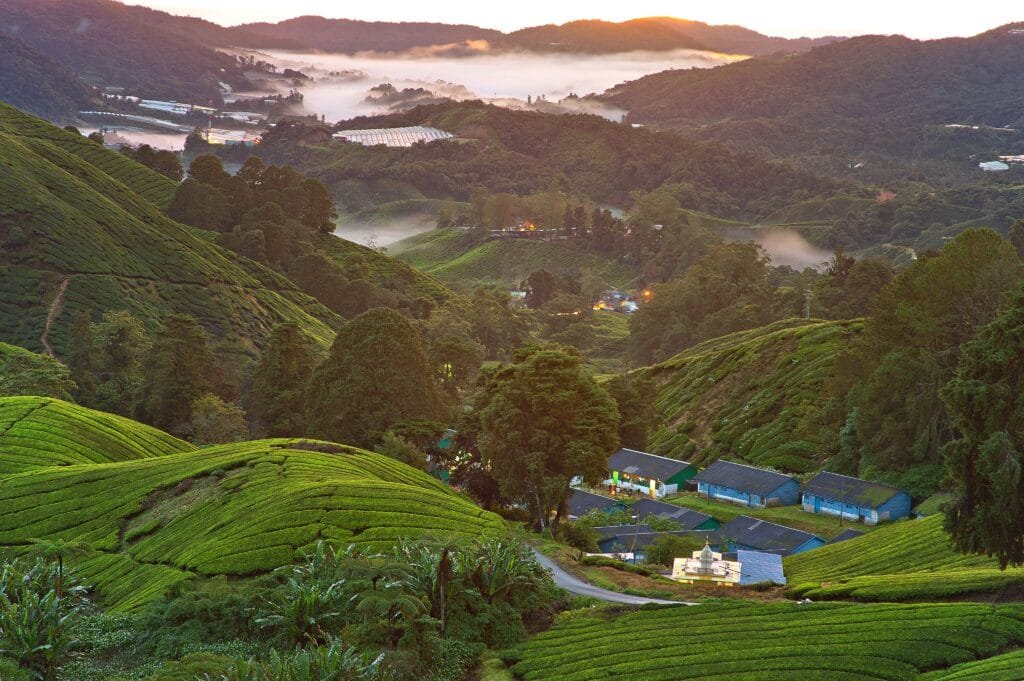 Beautiful aerial view of a lush green valley with mist and hills at sunrise, capturing the serene landscape.